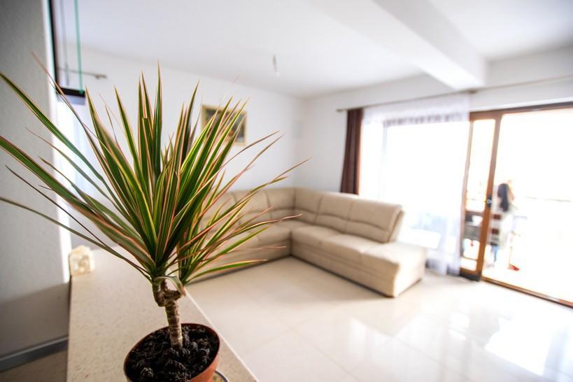 Apartment Andjela Starigrad Paklenica Extérieur photo